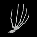 Kugelgelenkte Hand Skelett